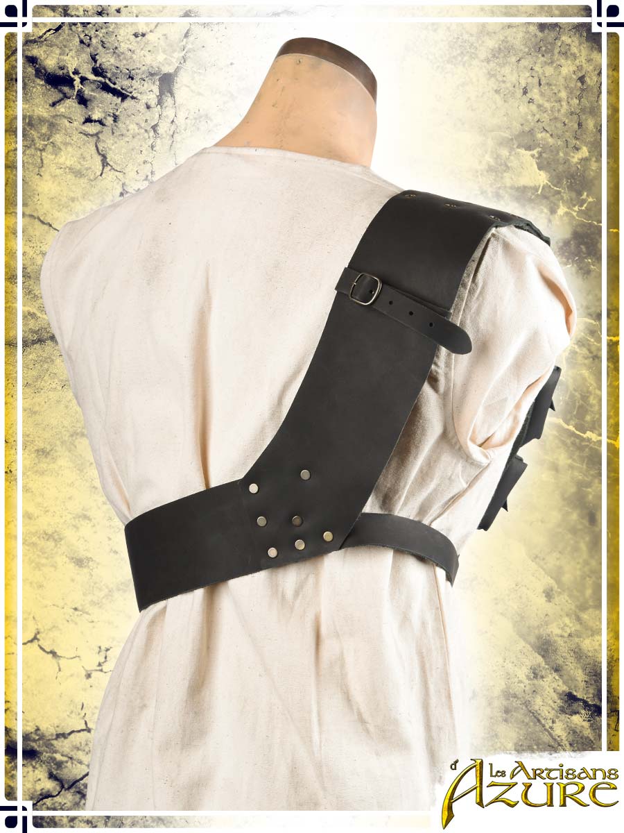 Multipouches Harness