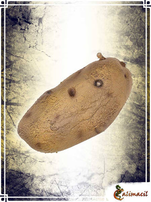 The Potato Other Weapons Calimacil