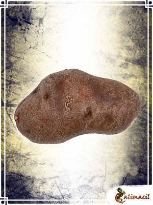 The Potato Other Weapons Calimacil