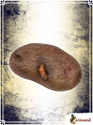 The Potato Other Weapons Calimacil