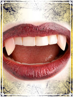 Sexy Bites (Small) Teeth & Tusks Importation privée