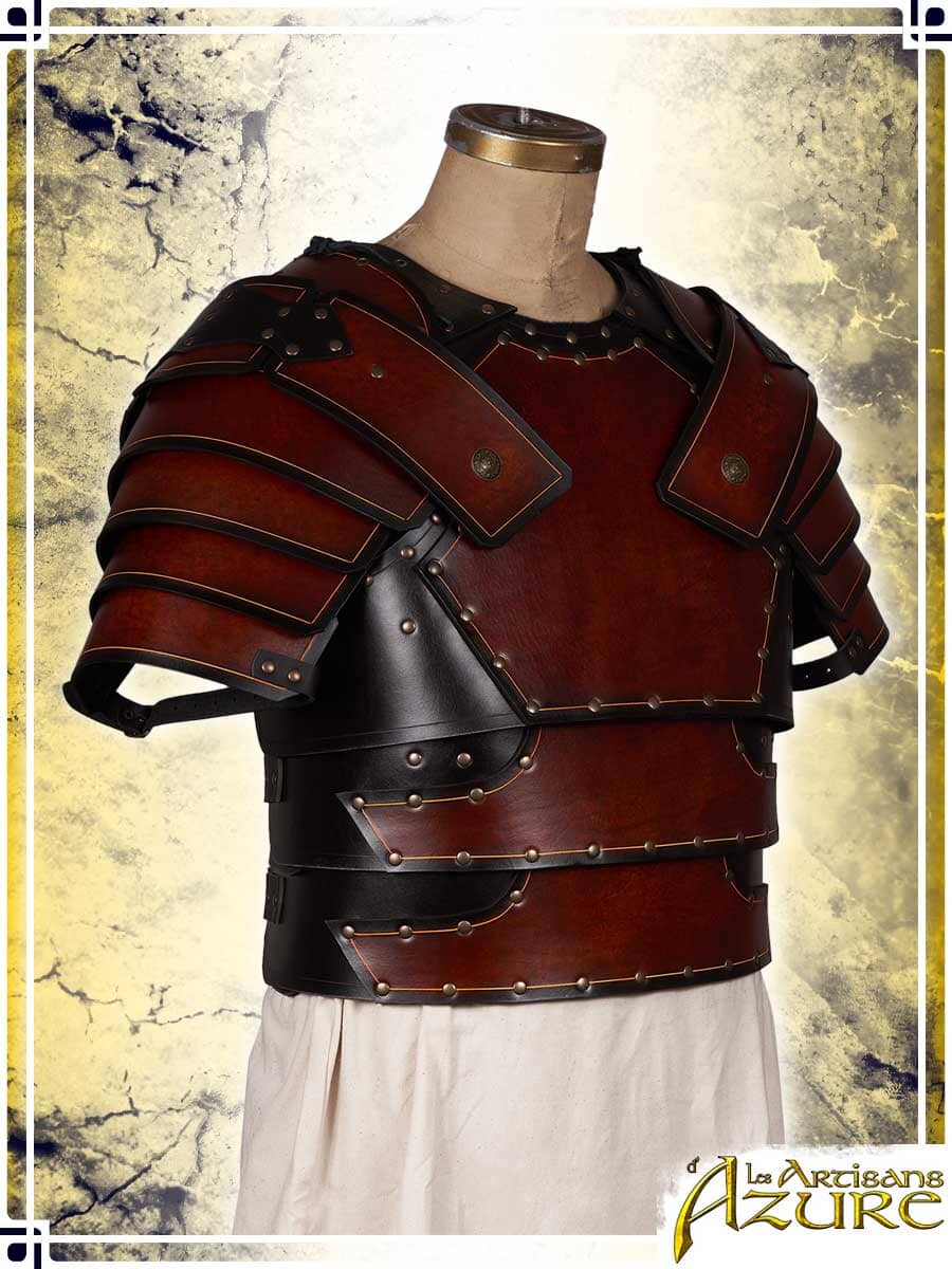 Armure de gladiateur en cuir pour homme Brassards de gladiateur