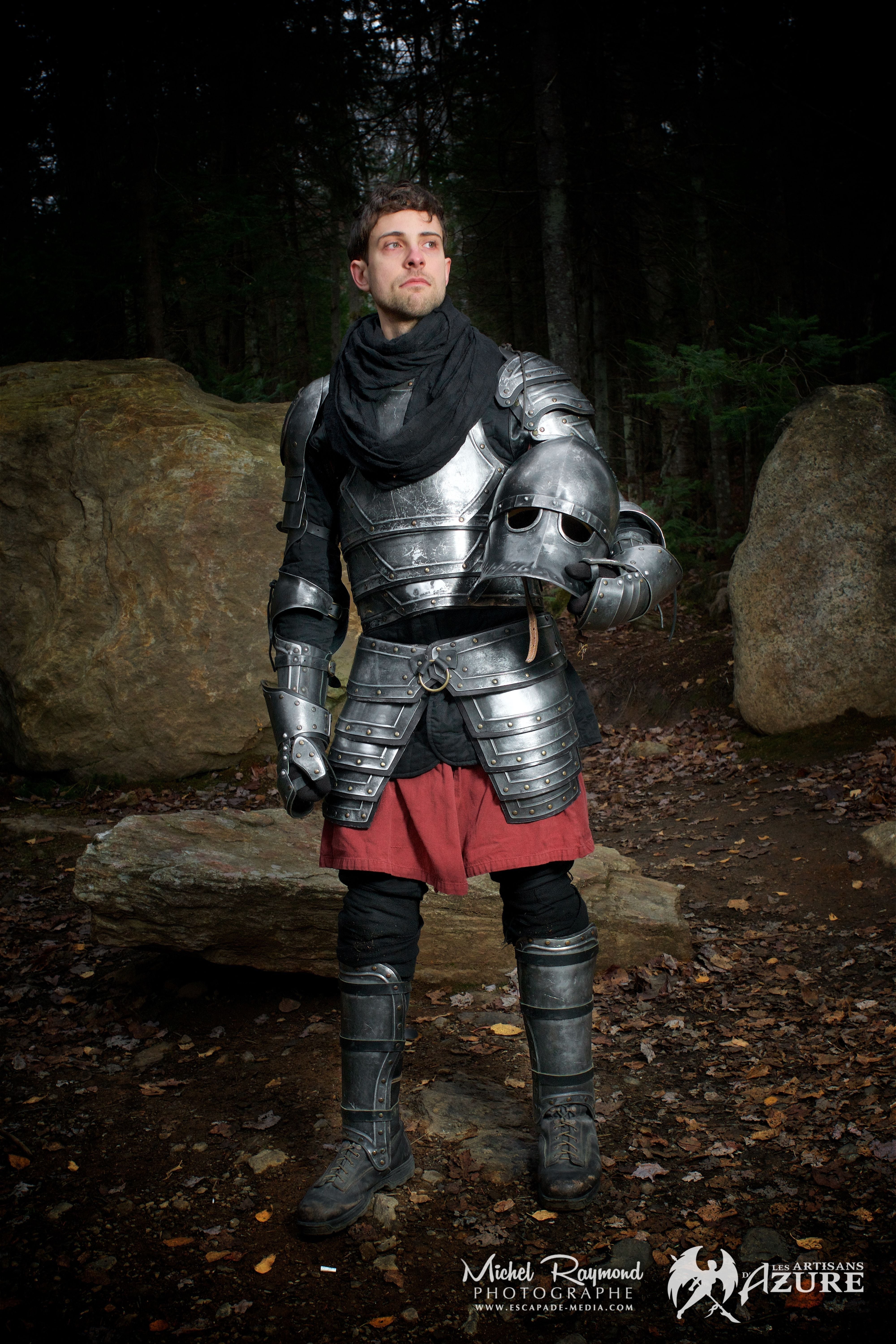 The White Lion’s Knight