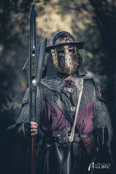 The Guard Sentinel