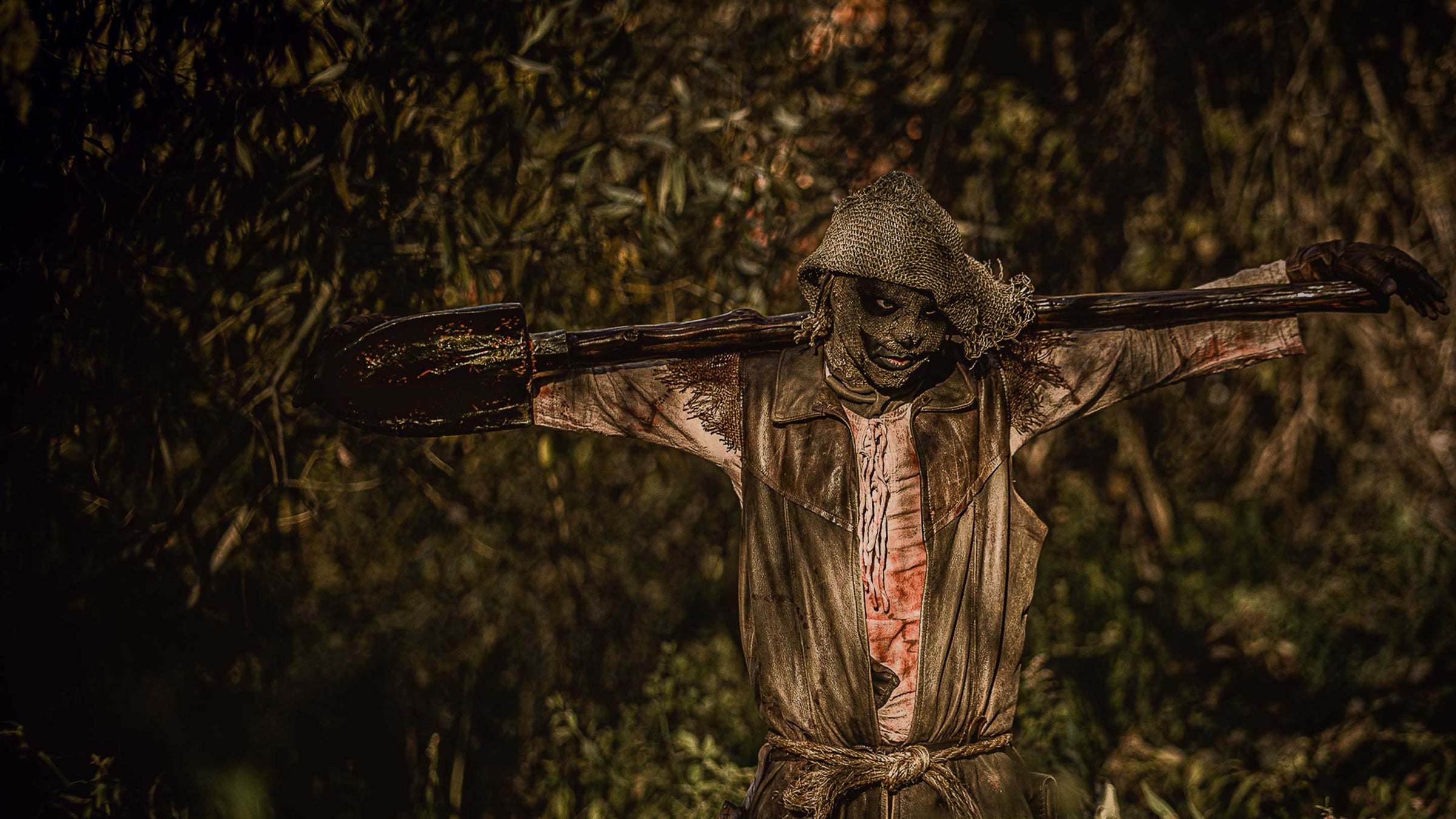 Scary Scarecrow collection