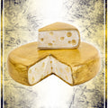 Wheel of Swiss cheese