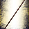 Bâton Jo en bois 122cm