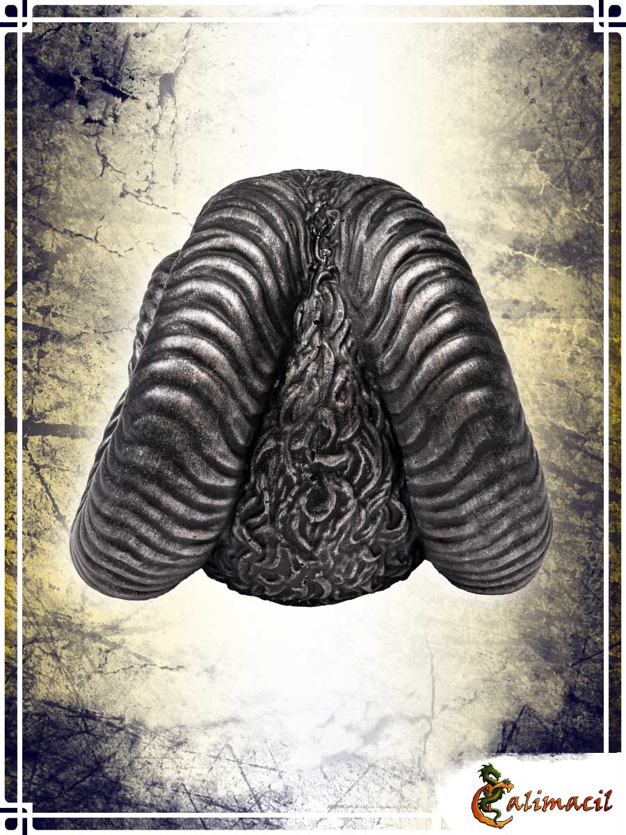 Tête de Bélier Salkoinas