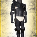 Armure classique complète du Tournoi
