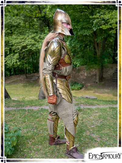 Armure complète Illumine