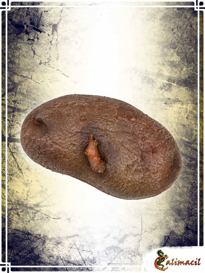 The Potato Other Weapons Calimacil 