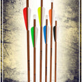 Woodsman Arrow - Low Speed Arrows Calimacil 