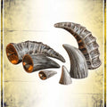 Mountable Demon Horns Supplies Epic Armoury 