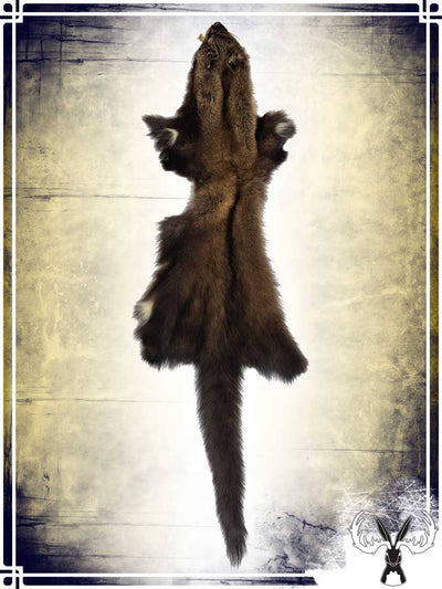 Pecan Fur Skin Furs Tannerie du Jackalope 