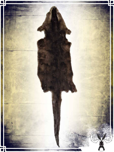 Otter Fur Skin Furs Tannerie du Jackalope 