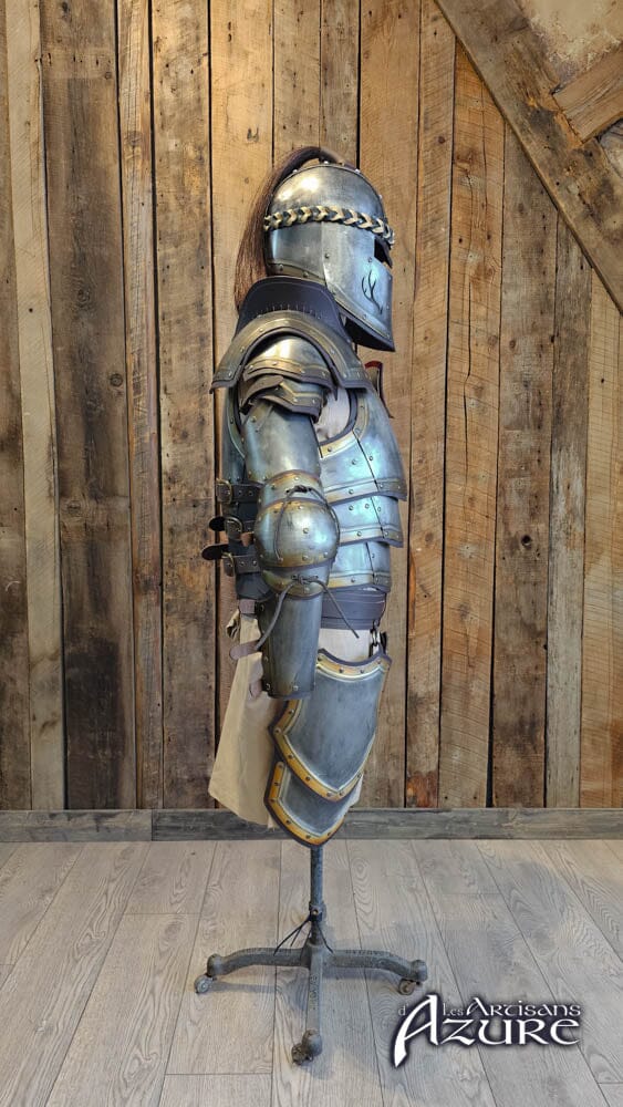 Ordo Cervi Full Armor Exclusive Products The Voyage North 