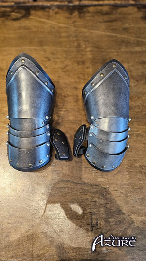 Marchwarden Full Armor Exclusive Products The Voyage North 