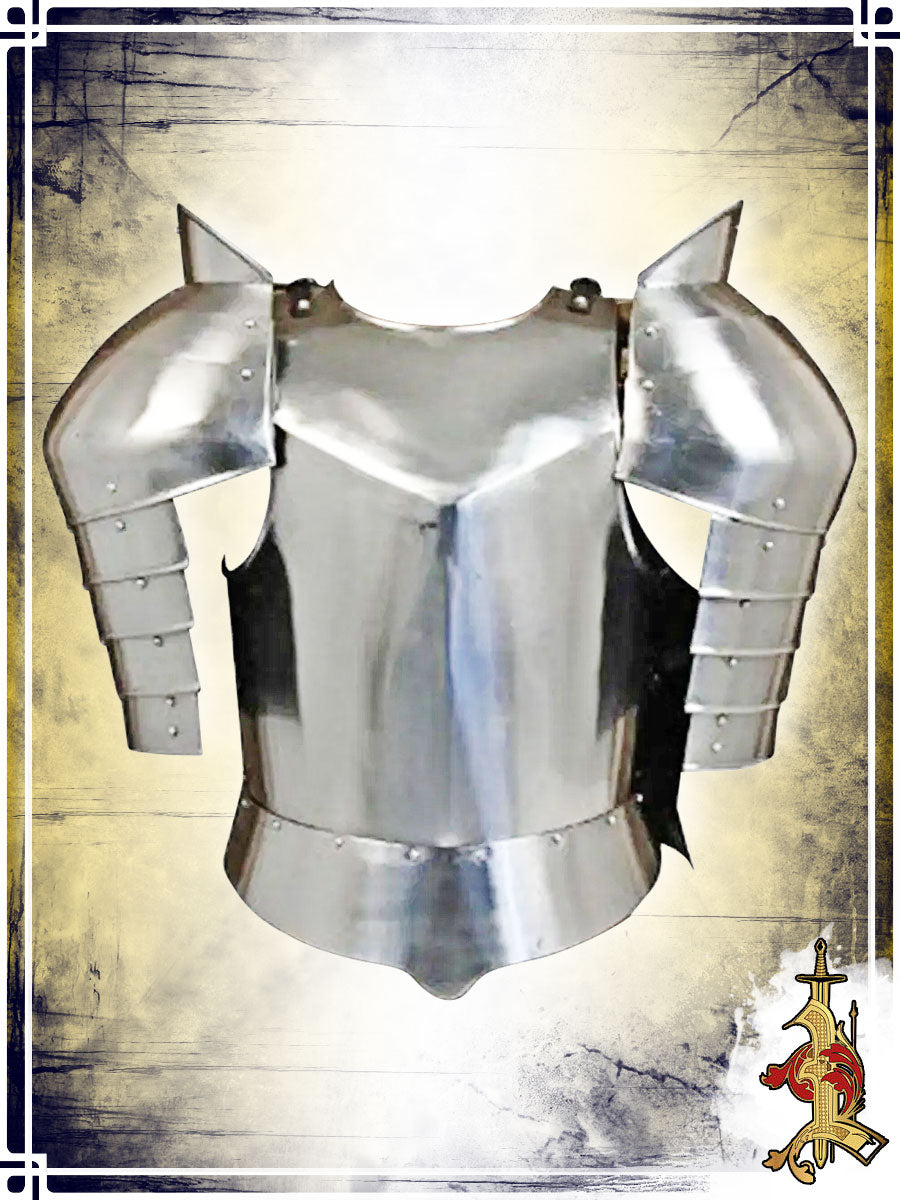 Fantasy Armor with Pauldrons 18ga