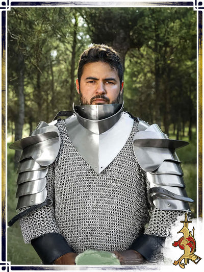 Thorian Pauldrons 18ga