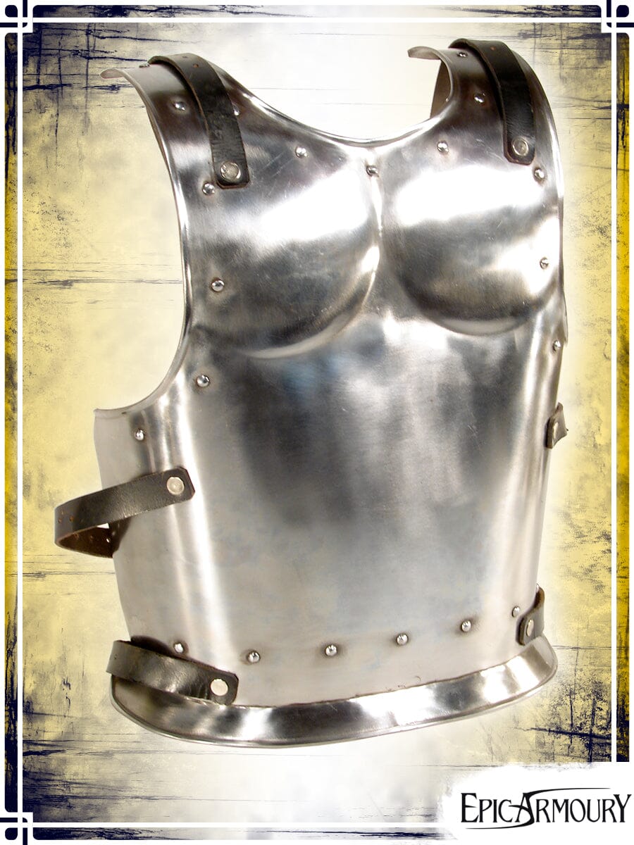 Warrior Backplate Plate Armors Epic Armoury 