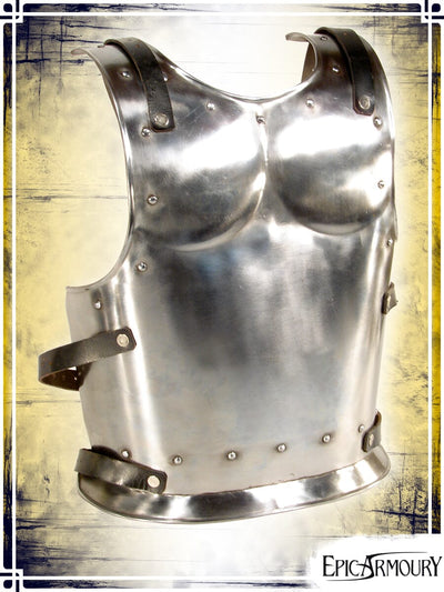 Warrior Backplate Plate Armors Epic Armoury Medium Shinny 