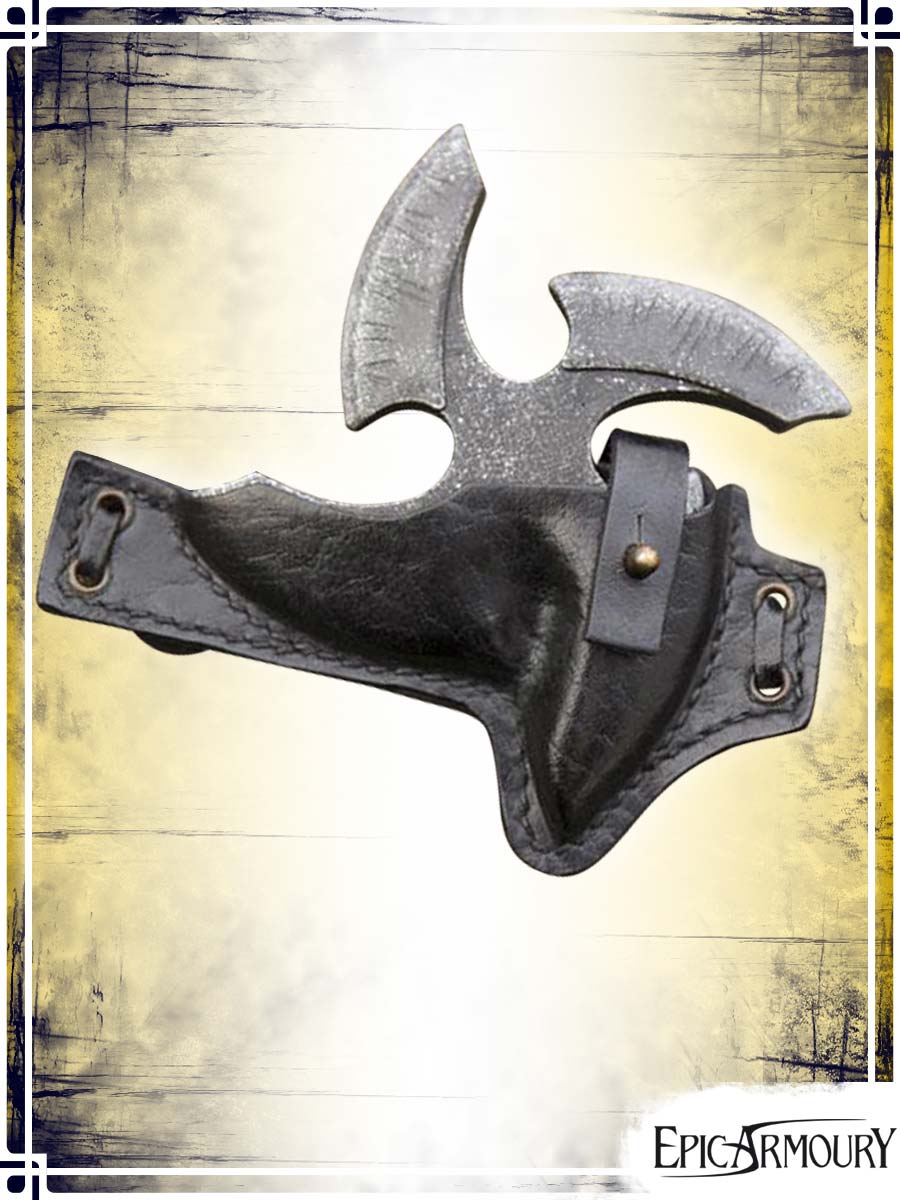 Shuriken and Holder