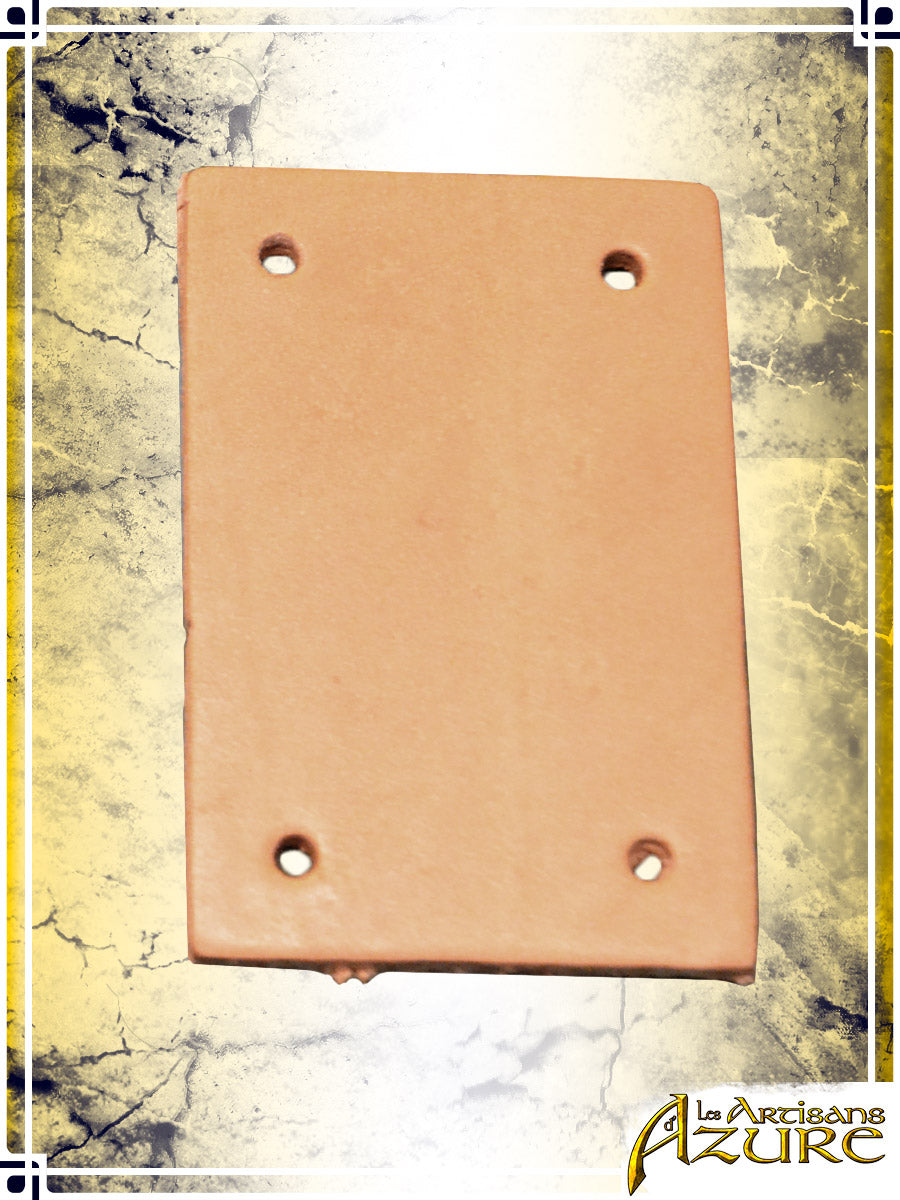 Rectangles de cuir (10)