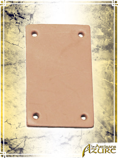Rectangles de cuir (10)