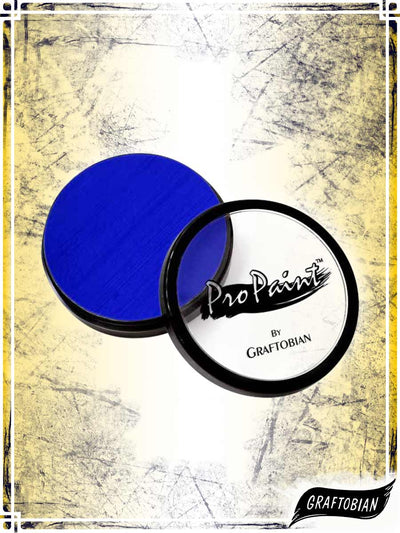 Pro Paint Makeup