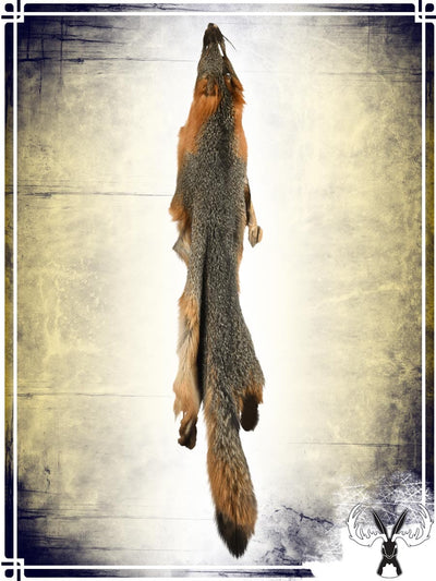Grey Fox Fur Skin Furs Tannerie du Jackalope 