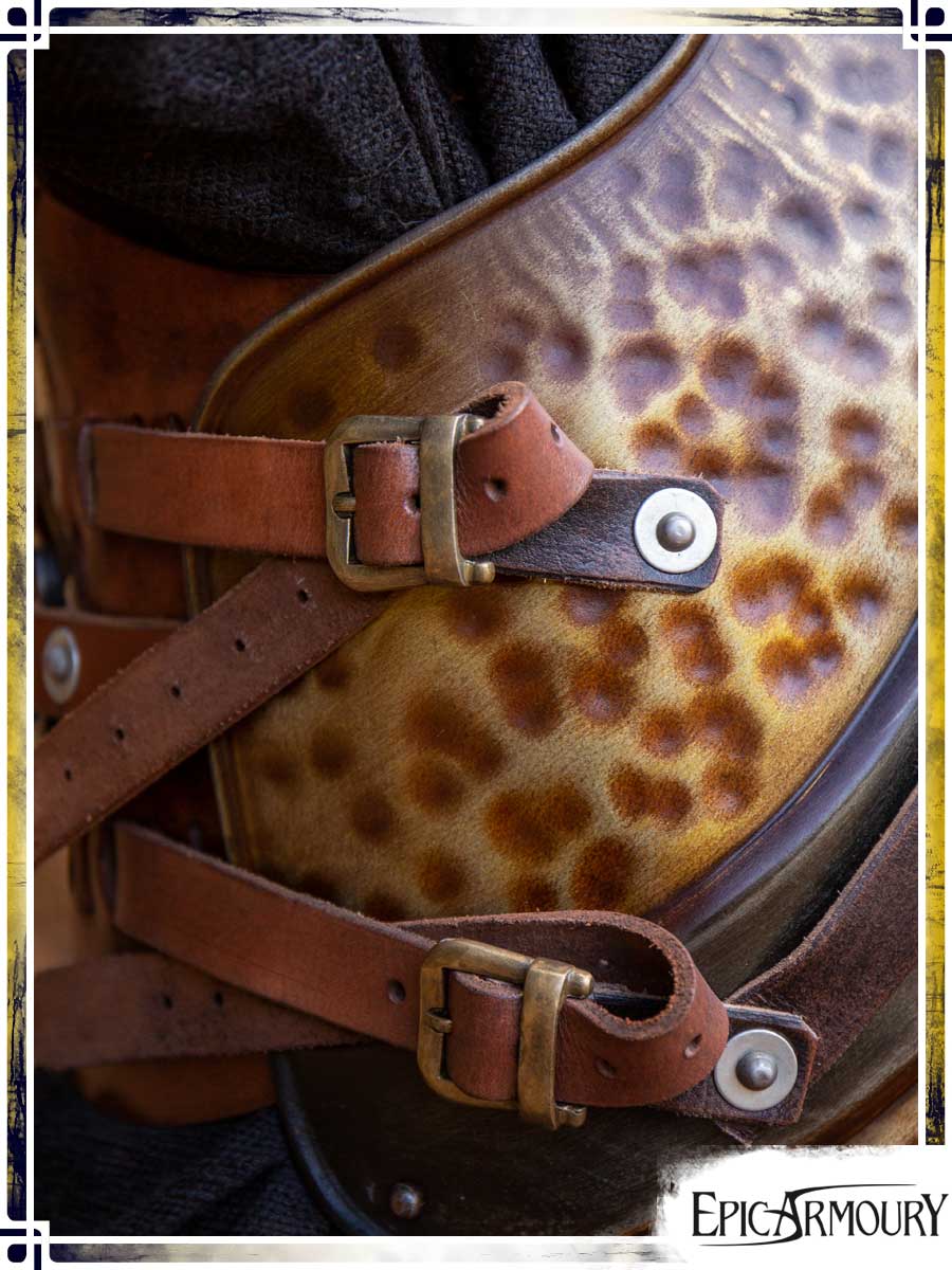 Armure du Prédateur