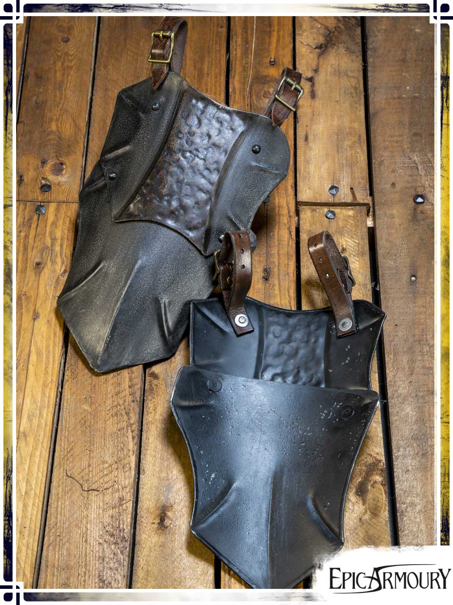 Raider Belt Shields