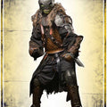 Raider Full Armor