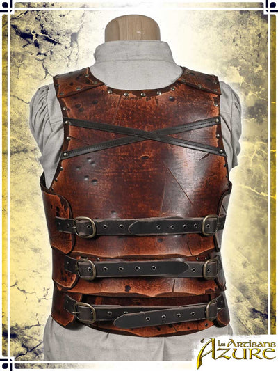 Armure du Marcheur Sauvage