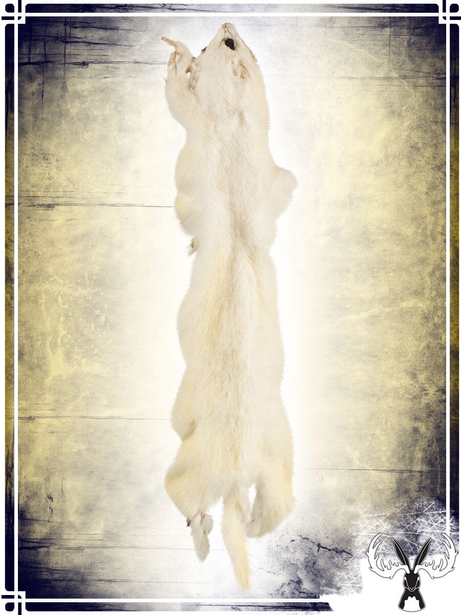 Weasel Fur Skin Furs Tannerie du Jackalope 