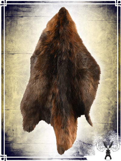 Beaver Fur Skin Furs Tannerie du Jackalope 