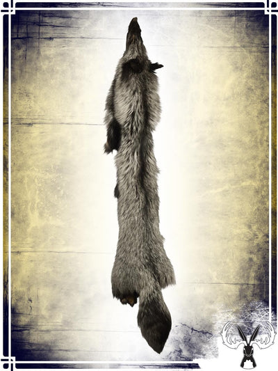 Sliver Fox Fur Skin Furs Tannerie du Jackalope 